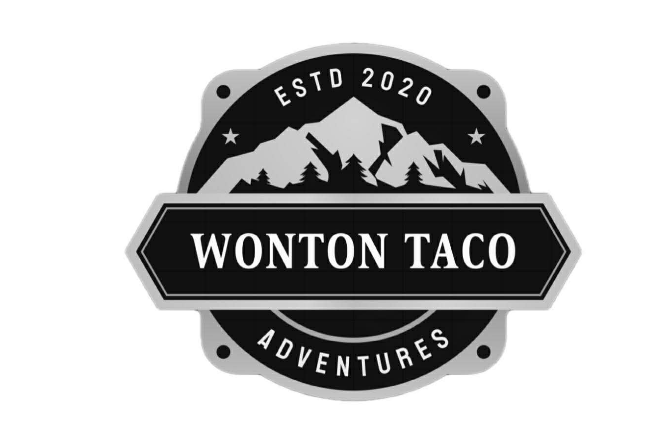 Wonton Taco